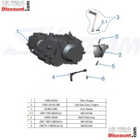 Motor 125ccm Euro3 für Skyteam T-Rex (Schwarz) Bilder 2