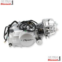 Motor 125ccm Euro5 für Skyteam T-Rex Bilder 1