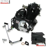 Motor 50ccm vertikal (139FMA-2) für Skyteam ACE Bilder 1