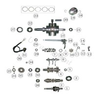 Motor-Kugellager für Quad Shineray 200 ccm STIIE - STIIE-B (Ø 55 - 6006) Bilder 2