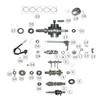 Nadellager für Motor Quad Shineray 250STXE (Ø 14mm-HK1010)