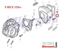 O-Ring für Skyteam T-REX Motoren 50-125ccm Euro 3 Bilder 2