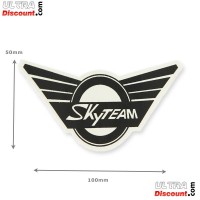 SkyTeam-Aufkleber für Skymini (vorne)