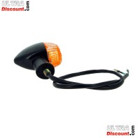Blinker hinten für Quad JYG 200ccm Bilder 1