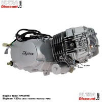 Motor PBR 125ccm mit elektrischen Anlasser Skyteam (6-6B)