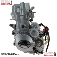 Kompletter Motor für Quad Shineray 250 ccm Racing (167MM) Bilder 2