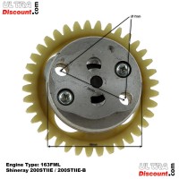 Ölpumpe für Quad Shineray 200 ccm STIIE (163FML)