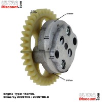 Ölpumpe für Quad Shineray 200 ccm STIIE (163FML)