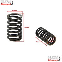 Ventilfedern für Quads Shineray 150ccm (XY150STE) Bilder 1