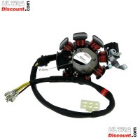 Lichtmaschine für Shineray 250 ccm STXE Bilder 2