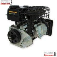 Motor 100 ccm für Go-Kart (DK156F-1) Bilder 1
