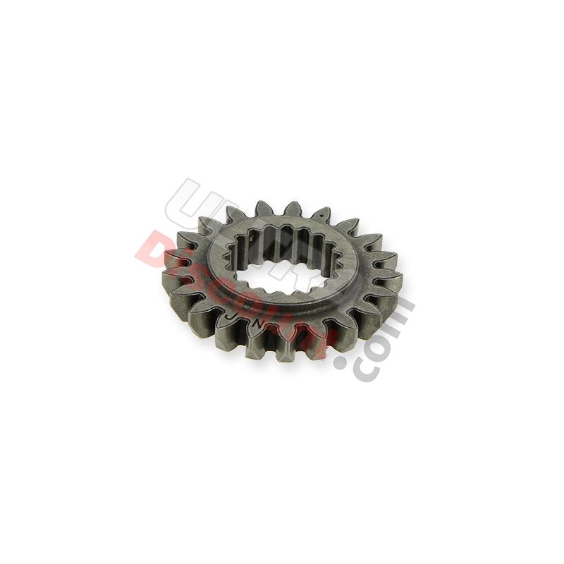 Ölpumpenrad für Quad Spy Racing 250 F1, Teile ATV SPY250F1