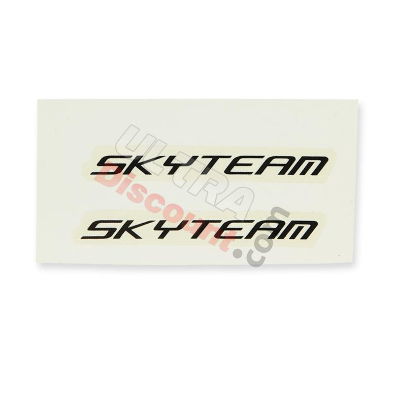 SkyTeam-Aufkleber (weiß-schwarz), Teile Ace Skyteam SkyTeam-Aufkleber (weiß-schwarz), Teile Ace Skyteam
