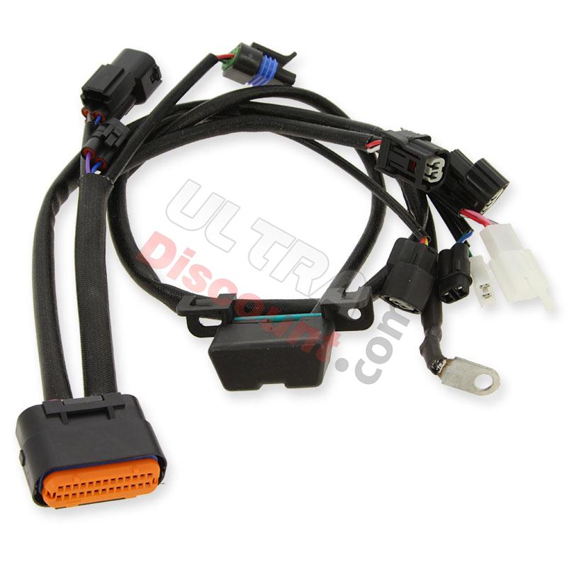 Verbindungskabel 1 für Motorsteuereinheit für Dax Skymax 50-125ccm EURO5, Teile Dax Skymax