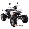 Quad Shineray 300 ccm XY300STE, Quad 200, 250, 300 ccm