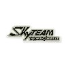 SkyTeam-Aufkleber für Ace (grau-schwarz), Teile Ace Skyteam