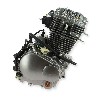 Motor 250ccm für V-Raptor Skyteam, Teile V-Raptor Skyteam