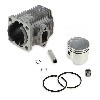 Kit Motor Umbau 47 auf 49 ccm (Achse 10 mm) für pocket bike, Pocket Cross Teile