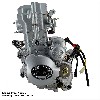 Kompletter Motor für Quad Shineray 250 ccm Racing (167MM), Ersatz Shineray 250 STIXE ST9E