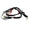 Kabelbaum 36610-17H02 für Skymax 50 ccm 125 ccm (nach 10-2015), Teile Dax Skymax