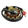 Spule Lichtmaschine für chinesischen Skooter 125 ccm (typ 2), Chinesische Motorroller Teile
