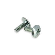 2 Verkleidungsschrauben M6x16 für Quad Shineray 250 ST5