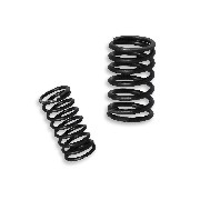 Ventilfedern für Quads Shineray 200 ccm (XY200ST9)