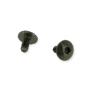 2 Verkleidungsschrauben M6x10 für Mini Citycoco 