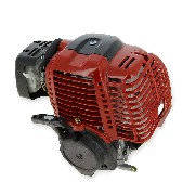Motor komplett XY139F-7 für einen Thermoscooter