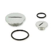 Zubehörteile für Zündungsgehäuse für Motoren Skyteam 125ccm