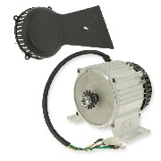 Motor 36V 1060W für Nitro tribo Pocket Bike