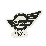 SkyTeam Pro Aufkleber für Skymini-Panzer (links)