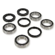 Lager Set für Hinterachse Shineray XY250ST-9E