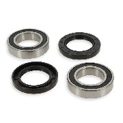 Lager Set für Hinterachse Shineray XY200STIIE-B (35mm)