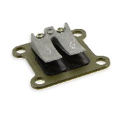 Klappe mit carbon lamellen für pocket bike