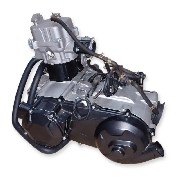 Motor komplett172MM für Quad Bashan 300 ccm (BS300AU-2)