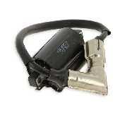 Zündspule Quad Bashan 300ccm ( BS300AU-2 )