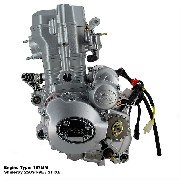 Kompletter Motor für Quad Shineray 250 ccm Racing (167MM)