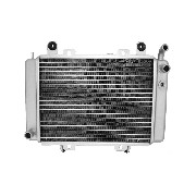 Kühler für Quad Shineray 300 ccm ST-5E