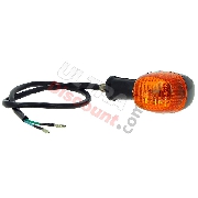 Blinker hinten für Quad Shineray 200 ccm STIIE - STIIE-B