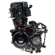 Motor für Quad Shineray 250 ccm STXE 167FMM