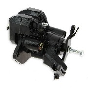 Bremssattel hinten für Quad Bashan 200 ccm (BS200S-7)