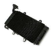Kühler für Bashan 250cc BS250AS-43