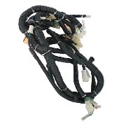 Kabelbaum für Quad Bashan 300 ccm (BS300S-18)