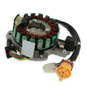 Zündstator komplett für Quad Bashan 300 ccm (BS300S-18)