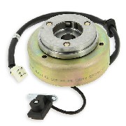 Zündung komplett für Motoren Skyteam 50ccm