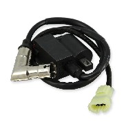 Zündspule für Dax Skyteam Skymax 50-125cc EURO4