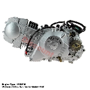 Motor 125 Dax Skyteam mit elektrischen Anlasser 1P52FMI (6-6B)