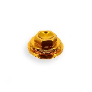 Ventilschutzgehäuse für PBR (Gold : typ 1)