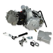 Motor LIFAN 110 ccm mit Anlasser und Rückwärtsgang für Quad 1P52FMH (type2)